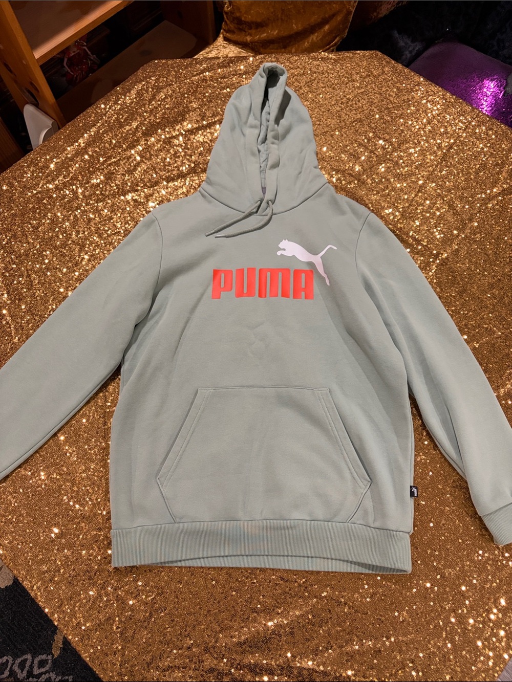 Puma Sage Green Hoodie with Coral Logo